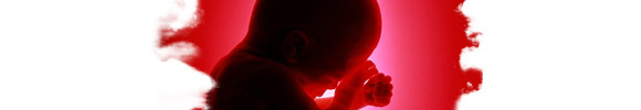 Видел Во Сне Аборт, К чему снится Аборт по Соннику