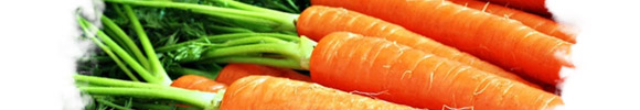 Видел Во Сне Морковь, К чему снится Морковь по Соннику