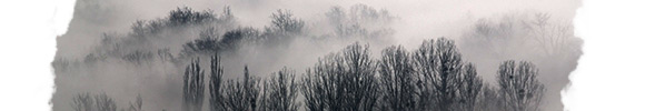 Видел Во Сне туман, К чему снится туман по Соннику